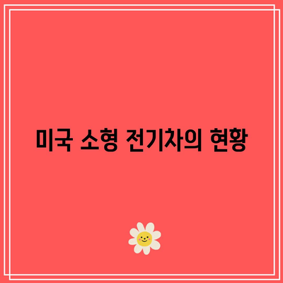 미국 소형 전기차의 현황