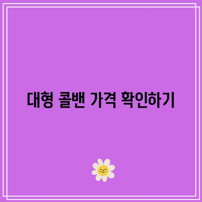 인천공항 택시, 콜밴 요금: 대형 콜밴 가격, 예약, 후기