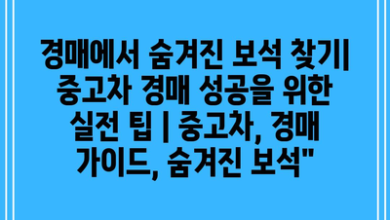 경매에서 숨겨진 보석 찾기| 중고차 경매 성공을 위한 실전 팁 | 중고차, 경매 가이드, 숨겨진 보석”