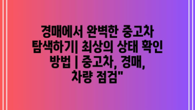 경매에서 완벽한 중고차 탐색하기| 최상의 상태 확인 방법 | 중고차, 경매, 차량 점검”