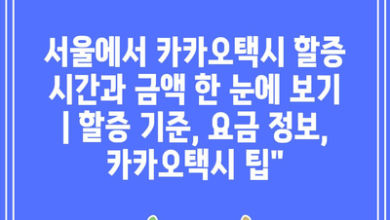 서울에서 카카오택시 할증 시간과 금액 한 눈에 보기 | 할증 기준, 요금 정보, 카카오택시 팁”