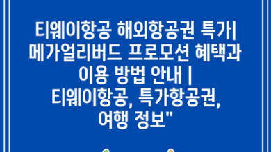 티웨이항공 해외항공권 특가| 메가얼리버드 프로모션 혜택과 이용 방법 안내 | 티웨이항공, 특가항공권, 여행 정보”