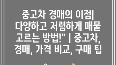 중고차 경매의 이점| 다양하고 저렴하게 매물 고르는 방법!” | 중고차, 경매, 가격 비교, 구매 팁