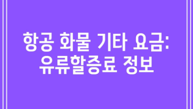 항공 화물 기타 요금: 유류할증료 정보