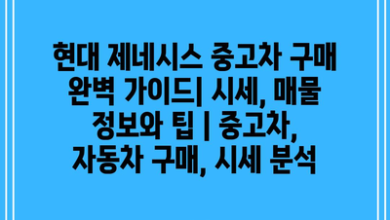 현대 제네시스 중고차 구매 완벽 가이드| 시세, 매물 정보와 팁 | 중고차, 자동차 구매, 시세 분석