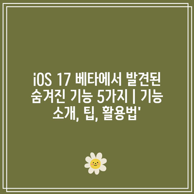 iOS 17 베타에서 발견된 숨겨진 기능 5가지 | 기능 소개, 팁, 활용법’