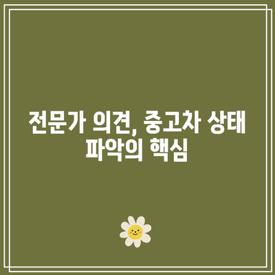 경매에서 완벽한 중고차 탐색하기| 최상의 상태 확인 방법 | 중고차, 경매, 차량 점검"
