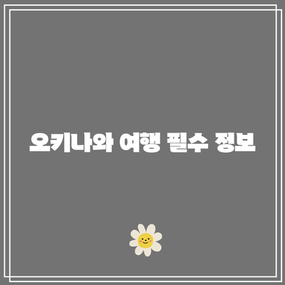 인천-오키나와항공권 티웨이 온라인 체크인 가이드 | 항공권, 체크인 방법, 여행 팁