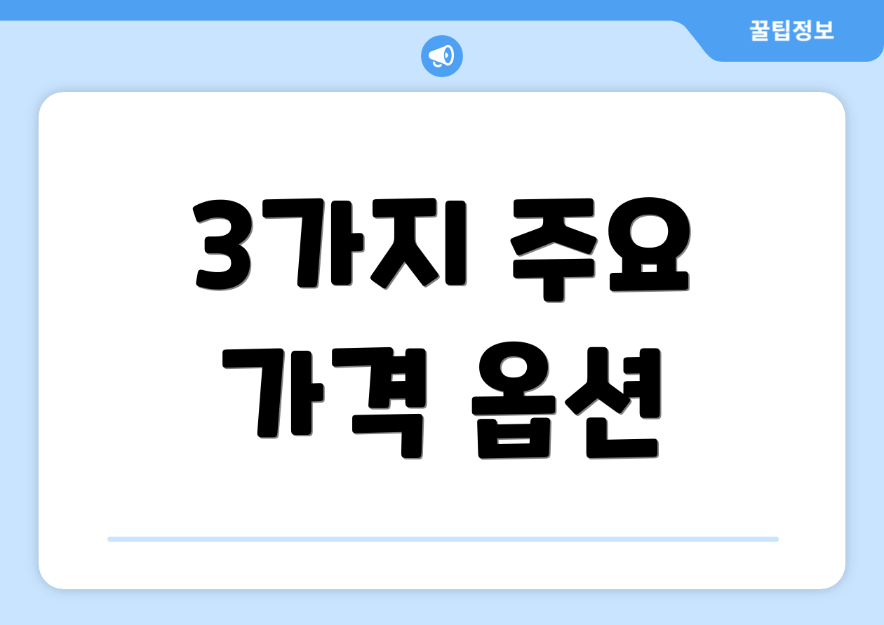 3가지 주요 가격 옵션