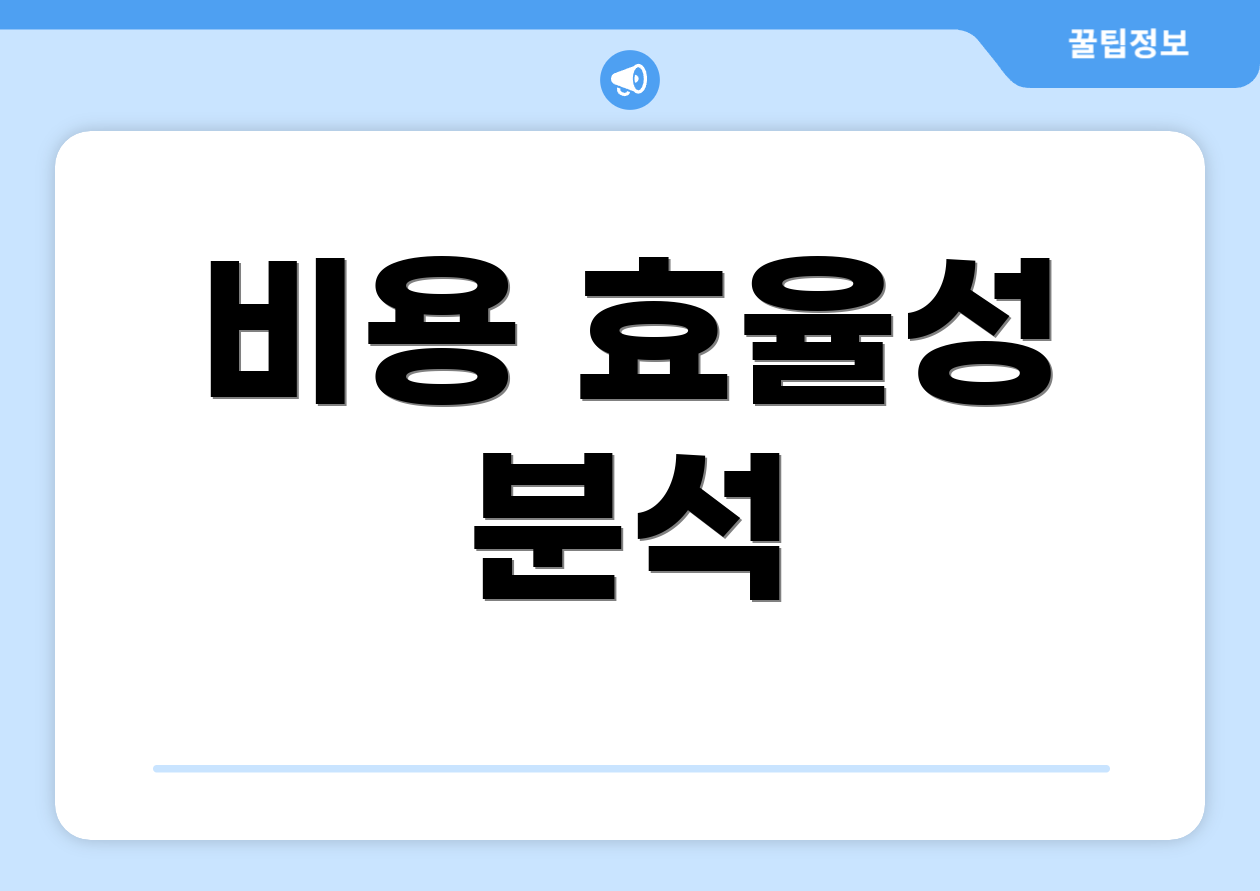 비용 효율성 분석