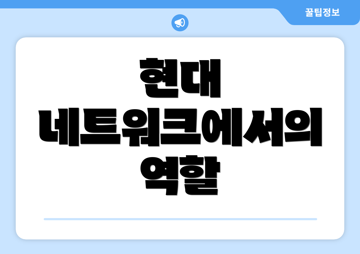현대 네트워크에서의 역할