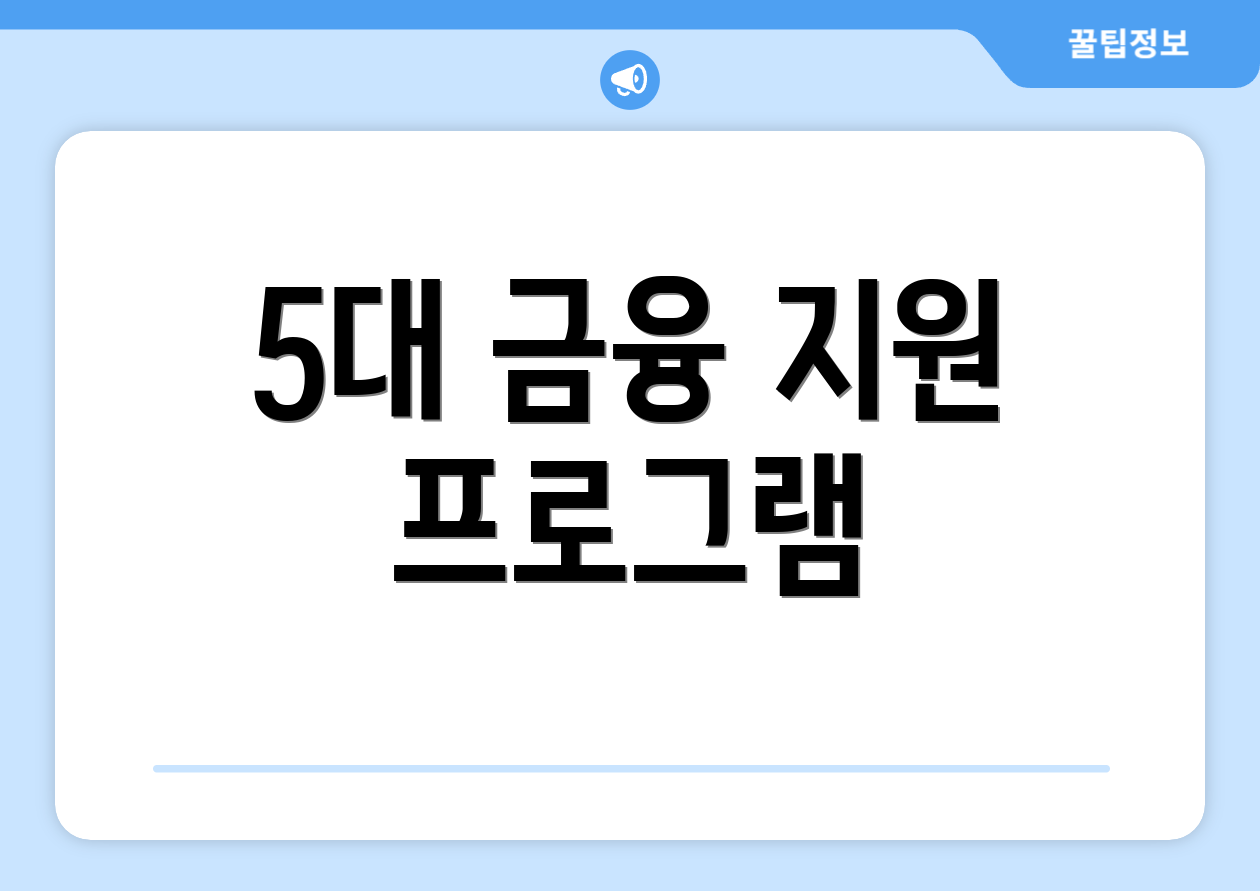 5대 금융 지원 프로그램