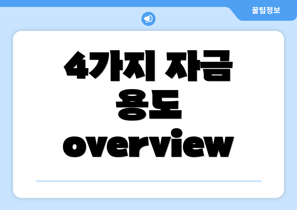 4가지 자금 용도 overview
