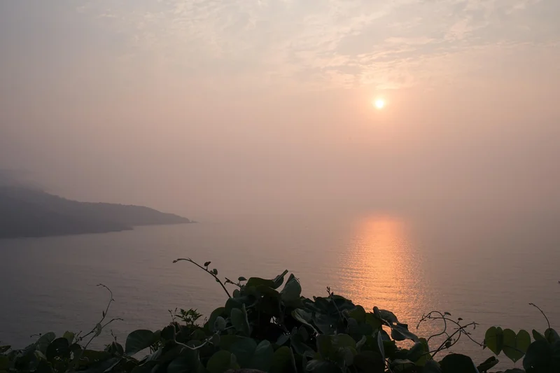 전기세 할인 신청