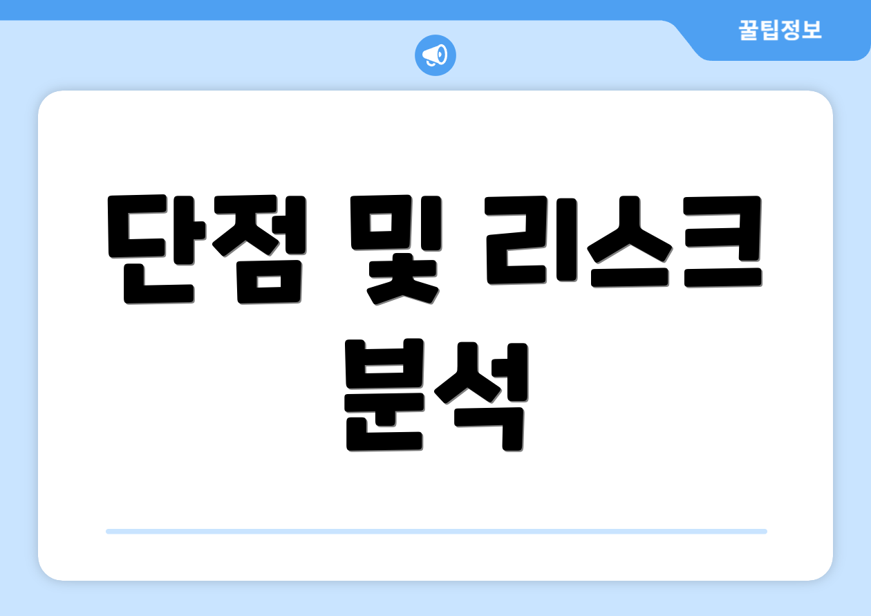 단점 및 리스크 분석