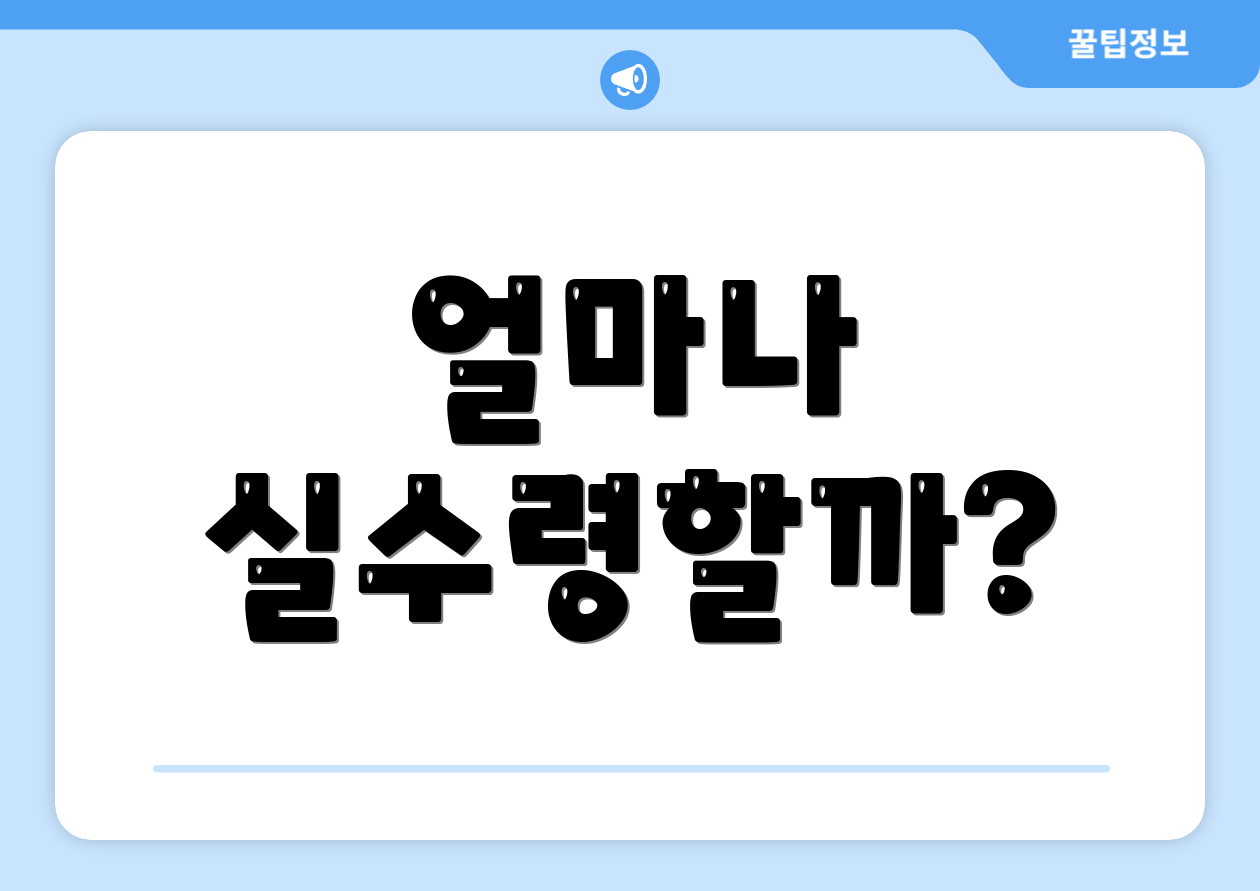 얼마나 실수령할까?