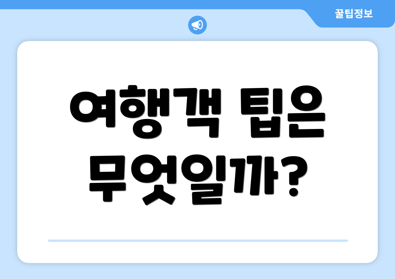 여행객 팁은 무엇일까?