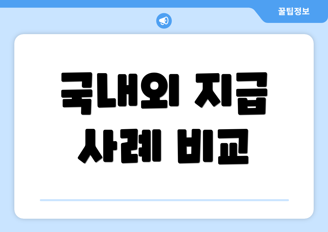 국내외 지급 사례 비교