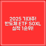 반도체 테마 ETF SOXL｜2025년 실적 기대 종목 1순위