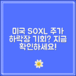 미국 SOXL 주가 오늘 시세｜하락장에도 기회가 있다?