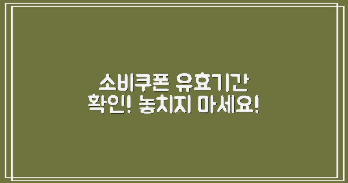 소비쿠폰 유효기간 안내