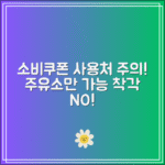 소비쿠폰 사용처 착각 금지｜주유소 외 사용 불가한 곳