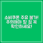 소비쿠폰으로 주유 안 되는 곳｜이런 경우 조심하세요