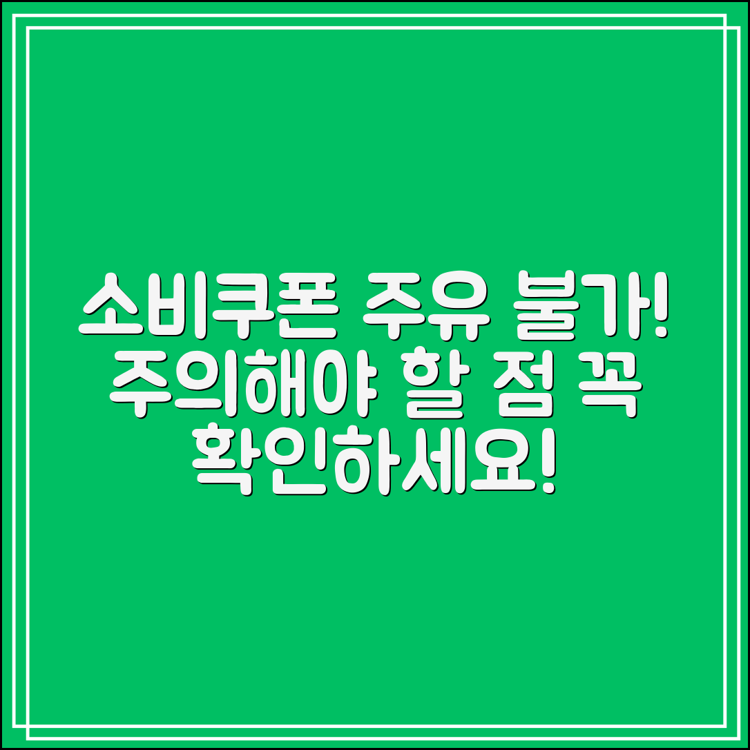소비쿠폰으로 주유 안 되는 곳｜이런 경우 조심하세요